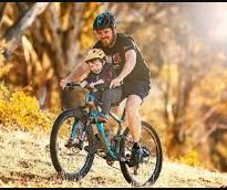VTT